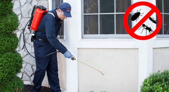 Çorlu Kemirgen İlaçlama böcek ilaçlama ve haşere kontrolü — ilaclama-tr.com